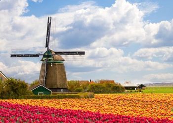 30 интересных фактов о Нидерландах