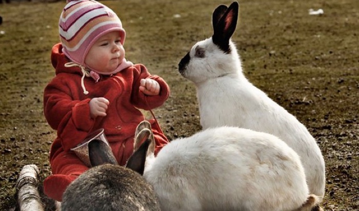 50 самых милых фото с детьми и животными