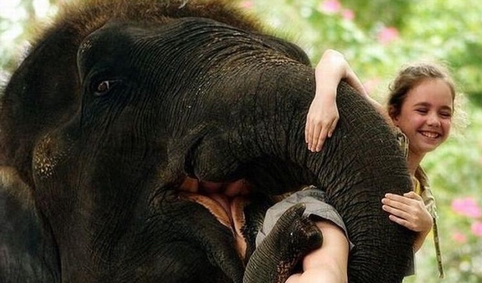 50 самых милых фото с детьми и животными