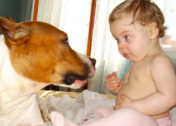 50 самых милых фото с детьми и животными