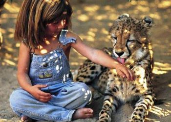 Уморительные знакомства зверей с человеком: 25 фото